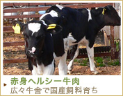 �Ԑg�w���V�[����